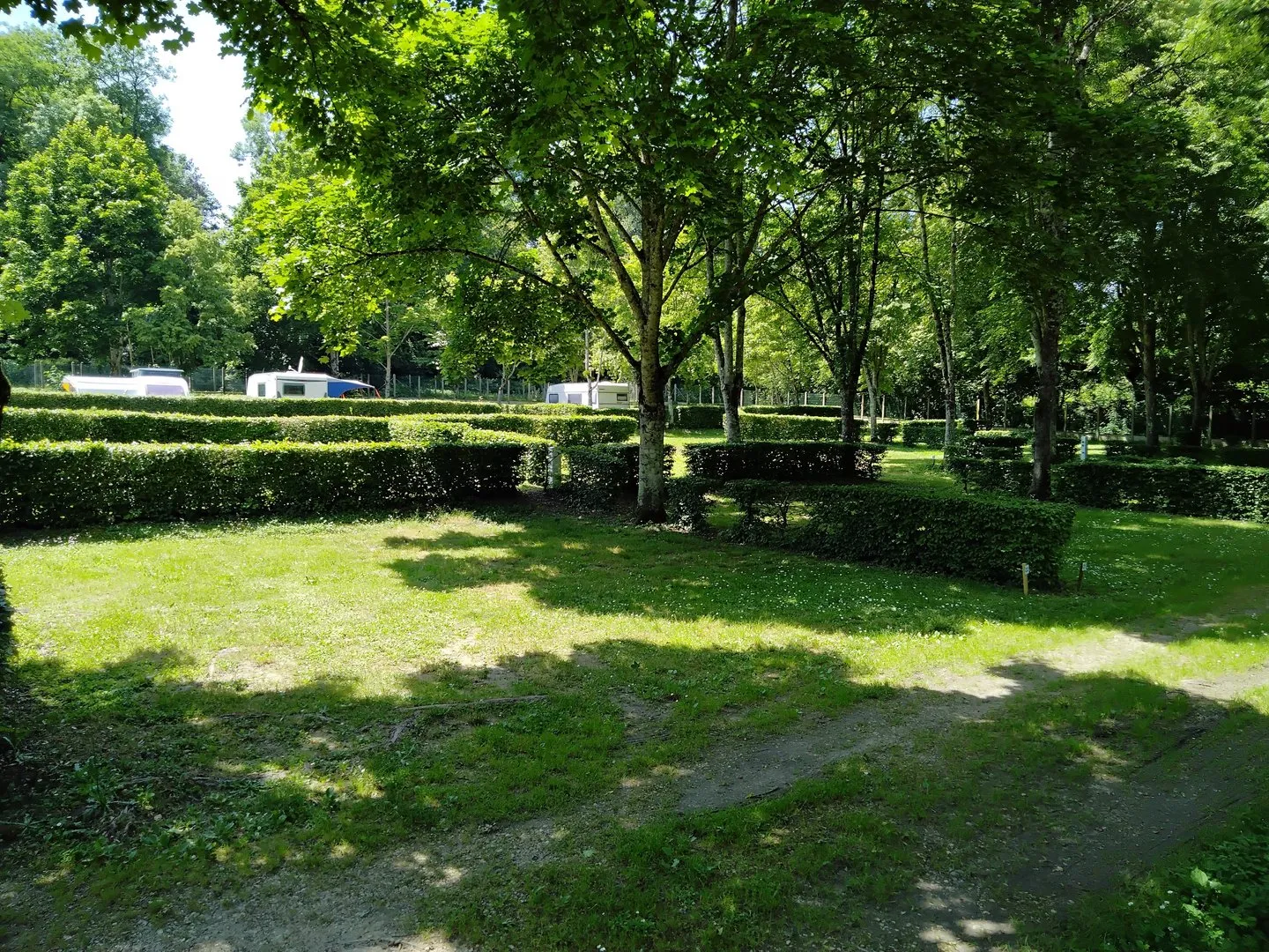 Bellon — photo 6